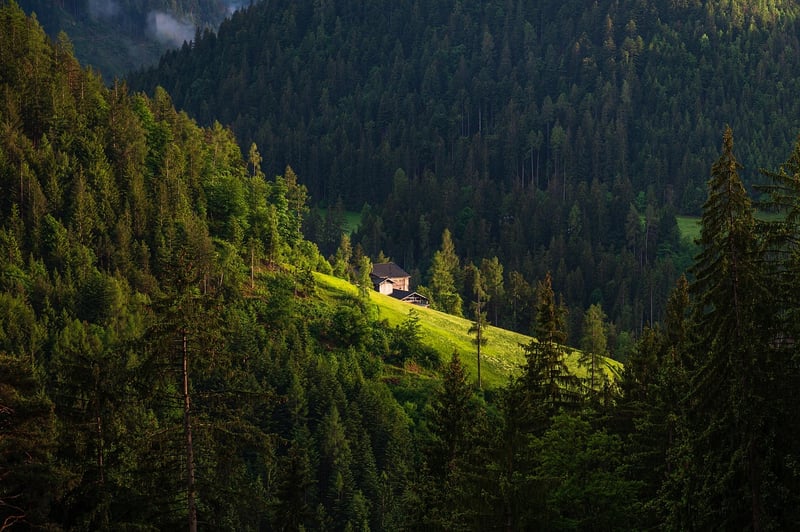 Remote Wilderness Retreat