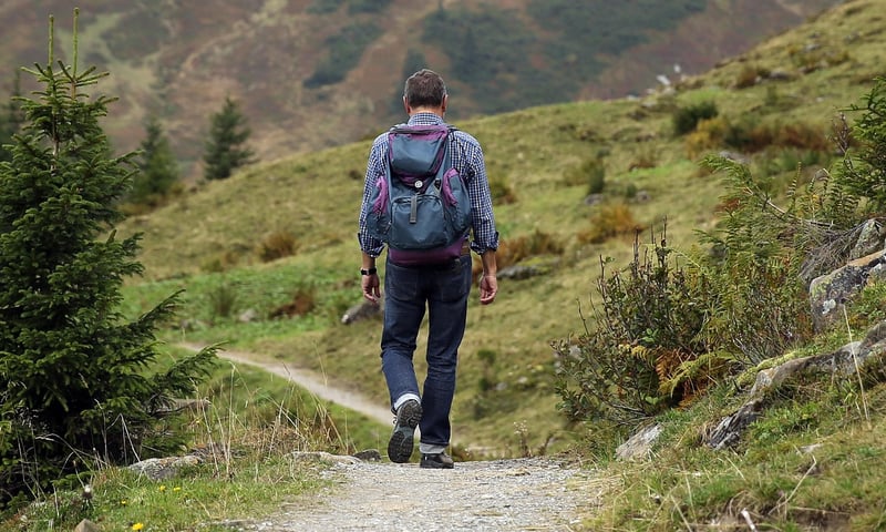Wilderness Hiking Adventure